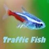 trafficfish