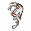 Dragon101