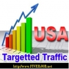websitetrafffic
