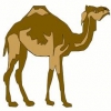 camelcase