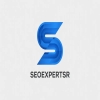 seoexpertsr