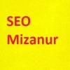 seomizanur1