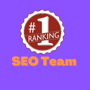 SEOTeam24x7