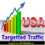 websitetrafffic