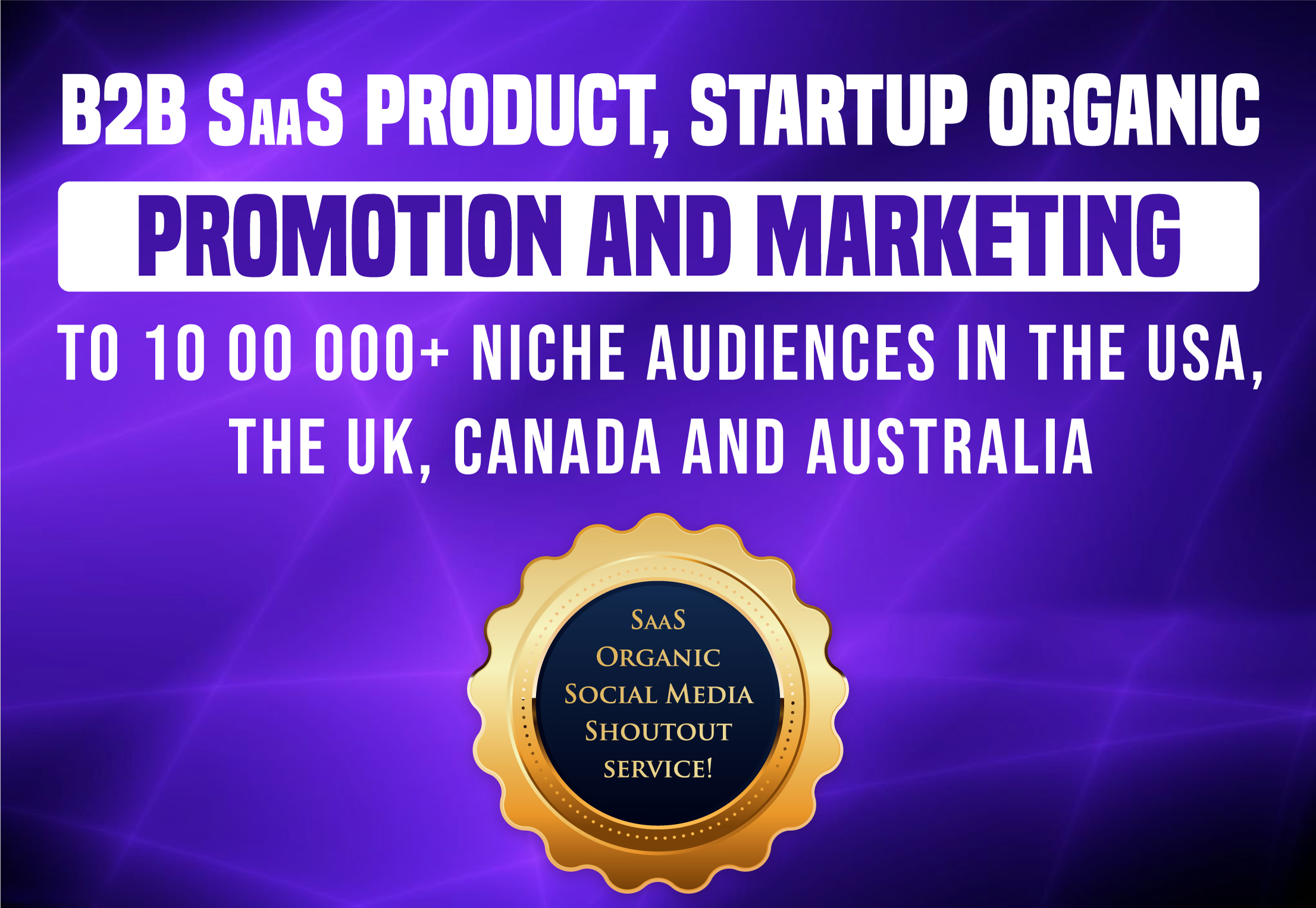 B2B SaaS Product Startup Organic Promotion to 10 00 000+ Target Audiences in the USA