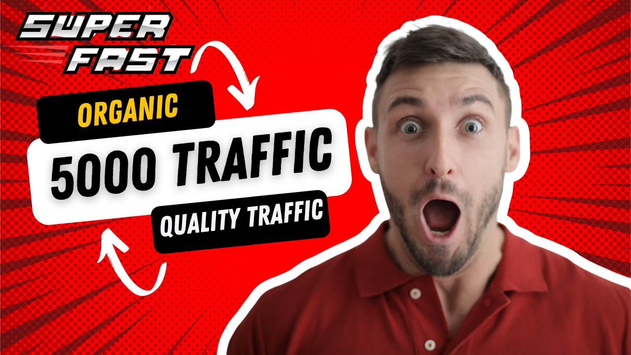 USA 5000 High Quality Organic Unique Website visitors