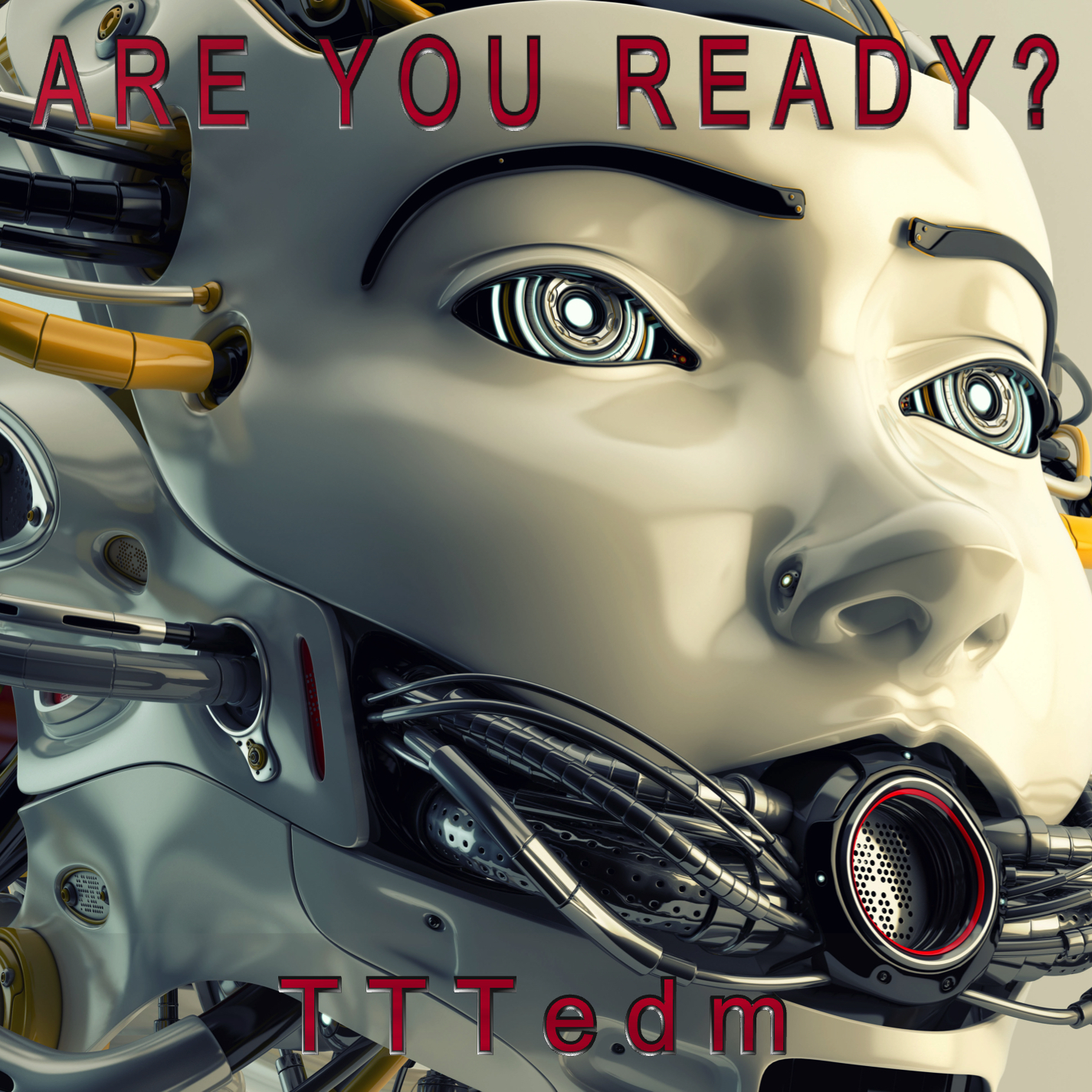 I will do a responsive website for all Devices. Setup your Music on All digital outlets Free!