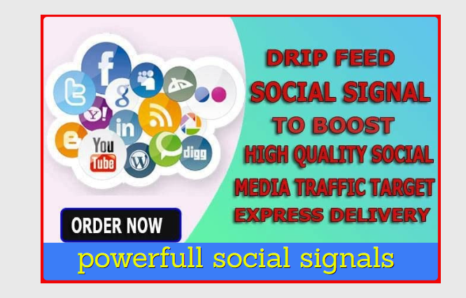 I will Provide Best 1500 Manually High-Quality Social Signals 