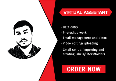 I will be your dedicated & top-notch Virtual Assi...