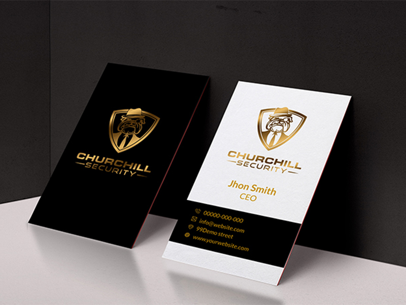 Design professional, corporate, eye catchy business cards in 12hrs