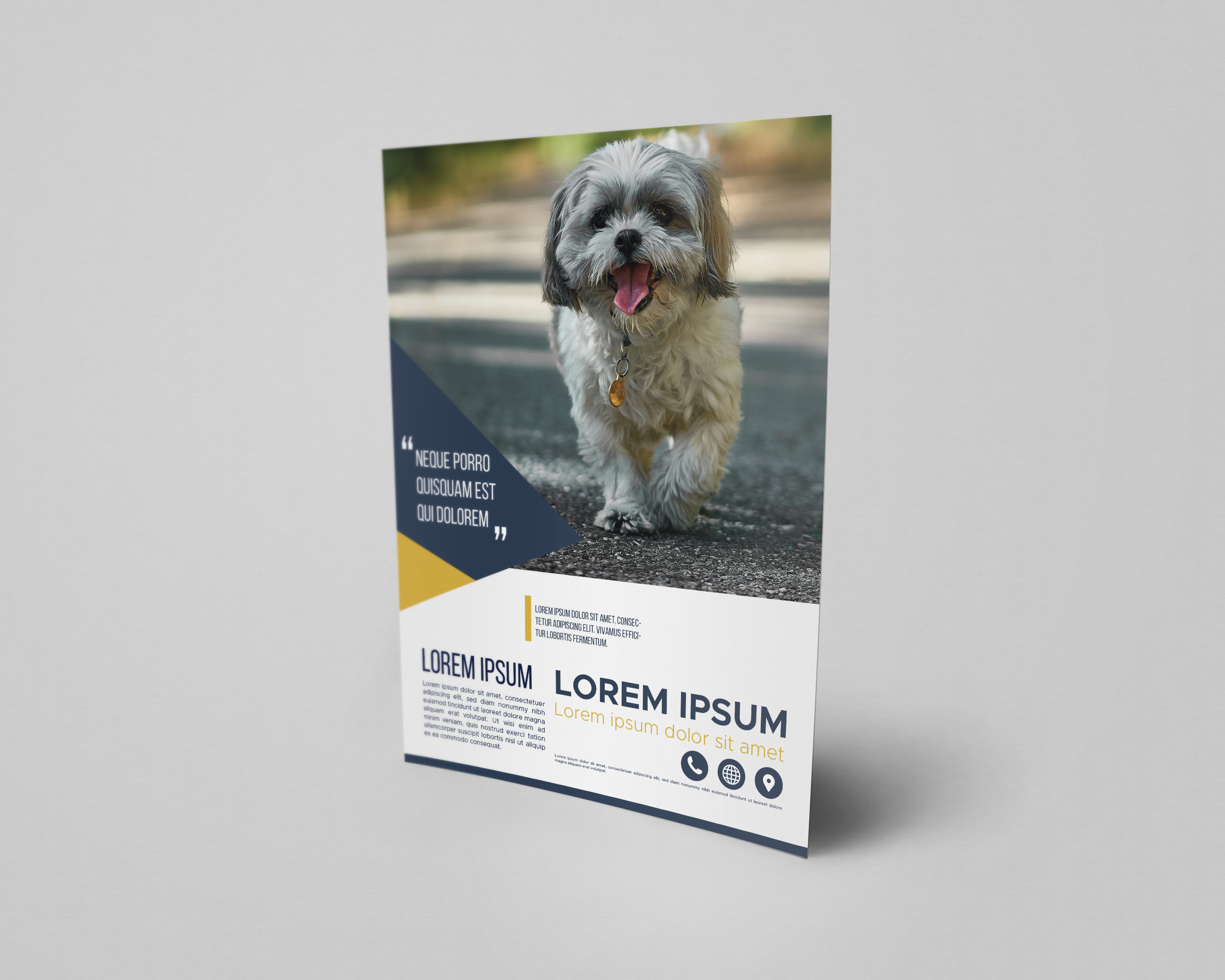 I will design amazing flyer, brochure or leaflet