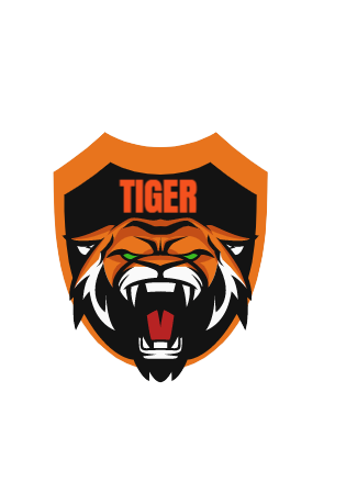 Professional Logo design for you