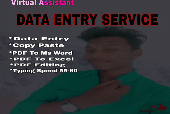 I will do excel data entry, copy past, pdf to word, ...