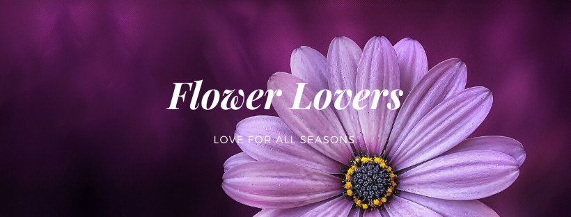 I can design Facebook cover / invitation card / poster ....