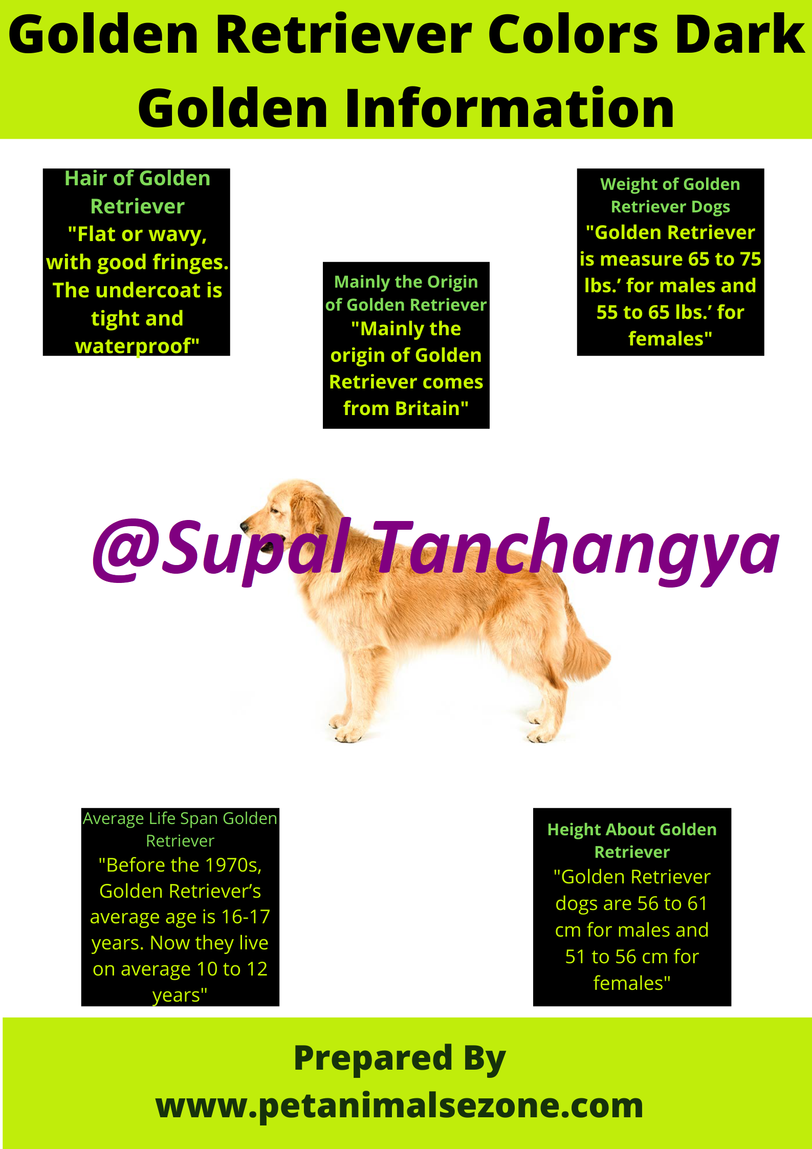 I will do 1 eye catching, professional infographic design and 20 submissions