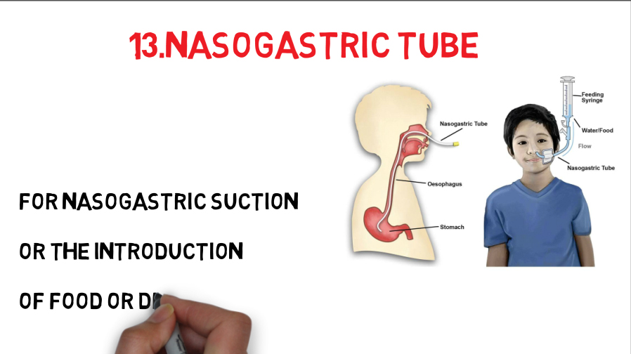 I will create whiteboard animation video