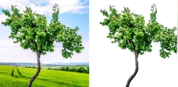 I will do the professional clipping of 10 images