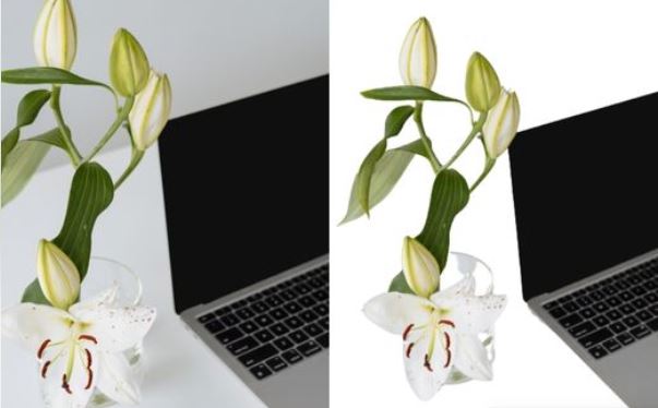 I will do the professional clipping of 10 images