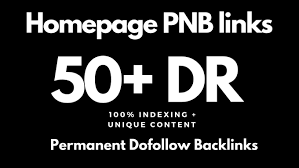 Build 100 PBN high quality DR 50+ dofollow authority ...