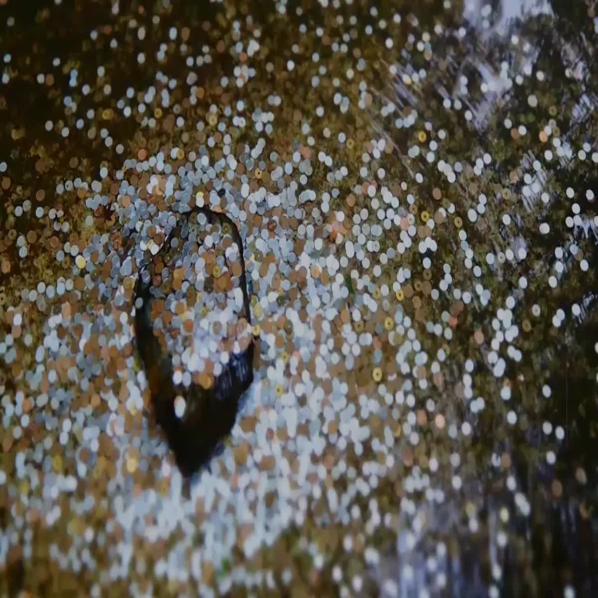 I will do complete seo service for your website