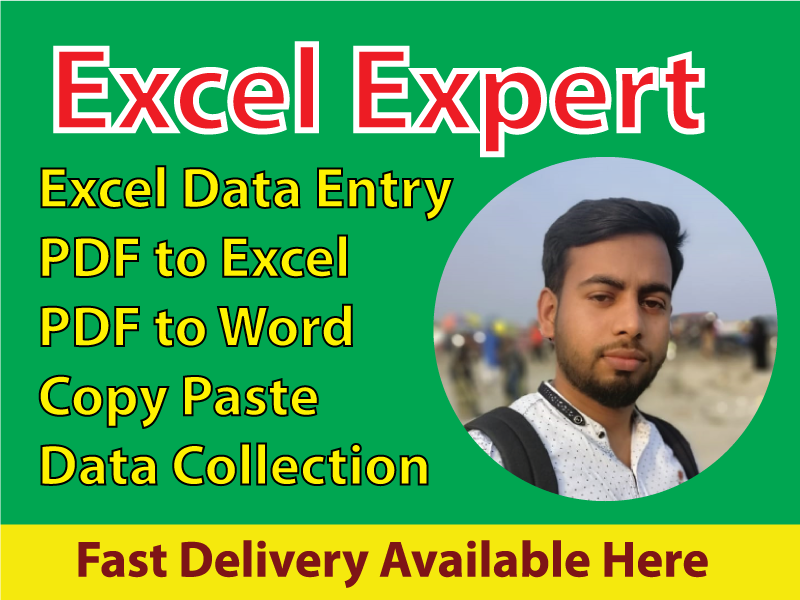 I will professionally do excel data entry, typing, c...