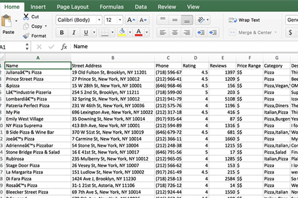I will google map business data scraping