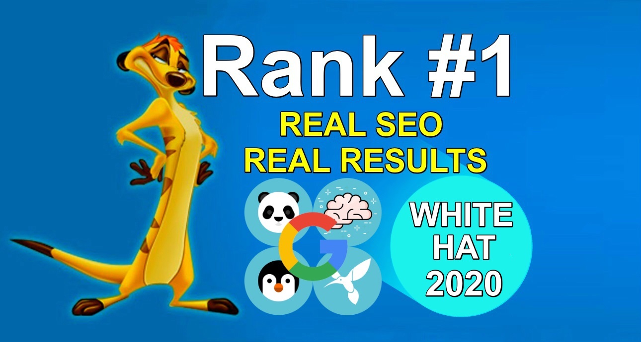 Create 100% Manually 300 Profile High Authority Backlinks-White Hat 