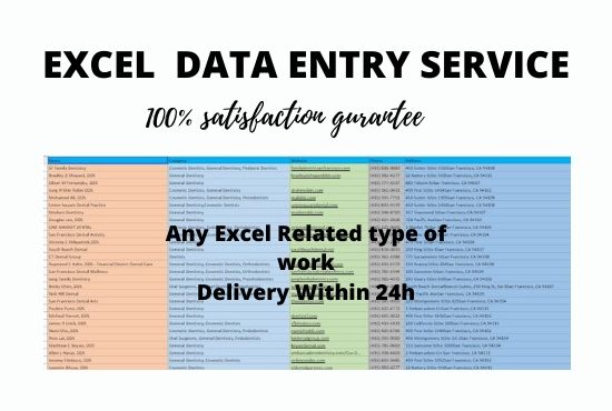 I will do PROFESSIONAL data entry and any excel related type of work in 24 hours