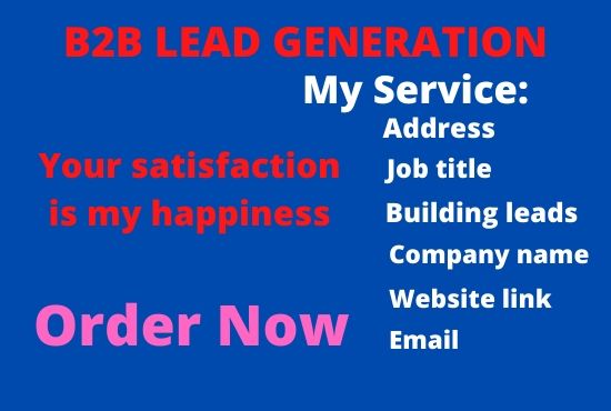 I will do b2b Lead Generation, web research and Data entry
