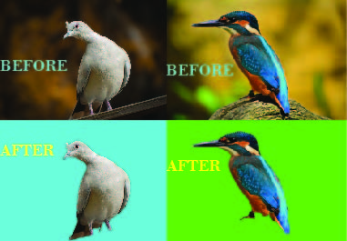 I will do background removal and transph 