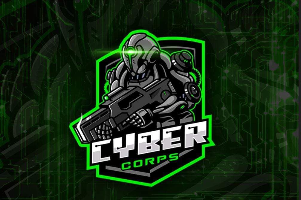 I will do a professional mascot,cartoon logo for animals,esports, sports and twitch