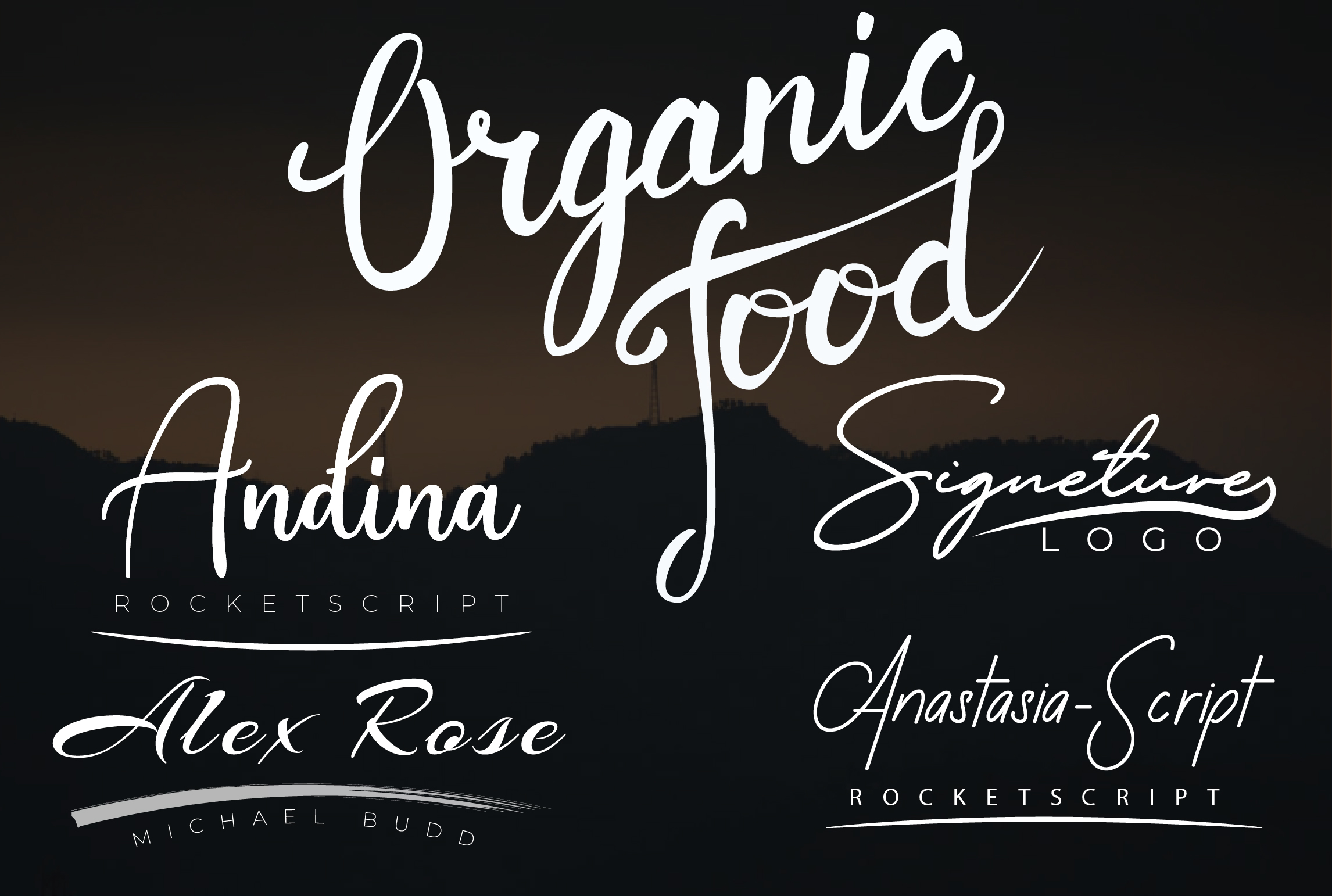 I will do professional signature logo and luxury elegant feminine logo