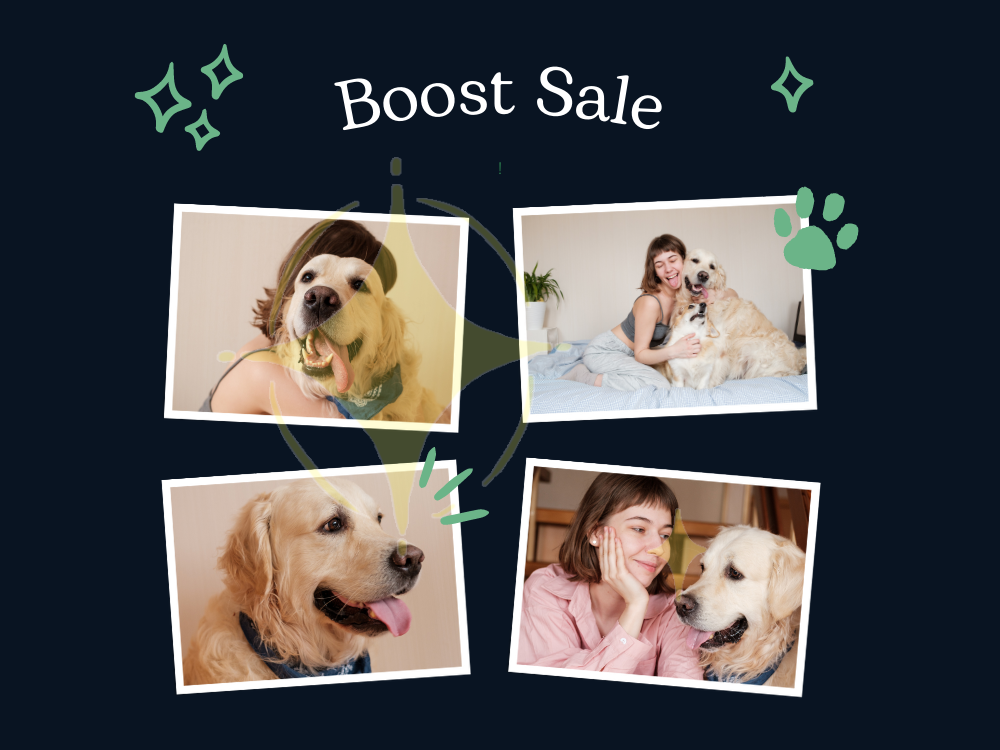 Pet Store SEO Dog Store SEO Cat Store SEO