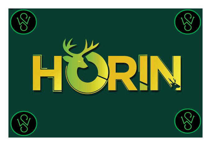 I will design modern killer logo for you