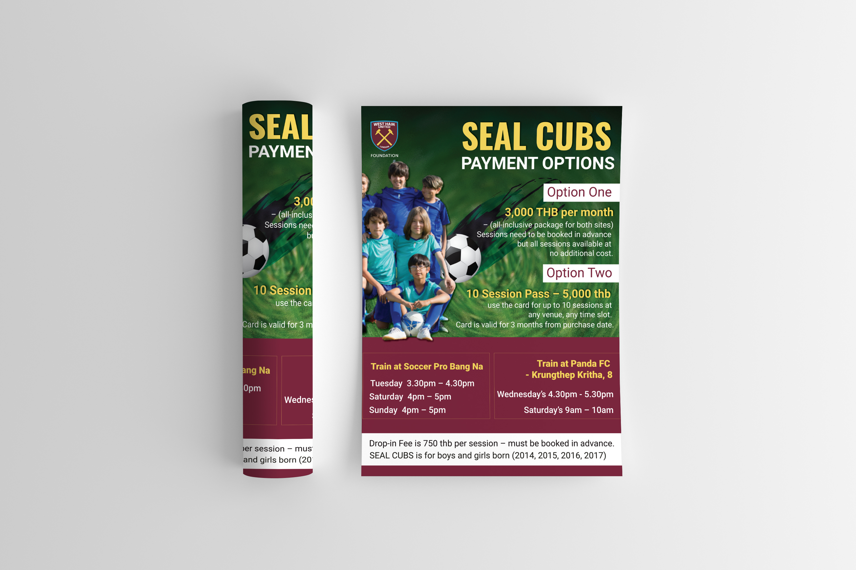 Best elegent professional flyer design for you