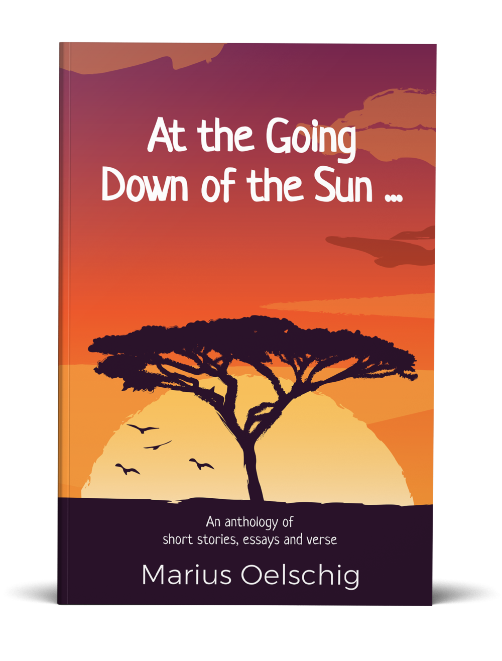 I will make a high quality ebook cover professionally in less than 24 hours