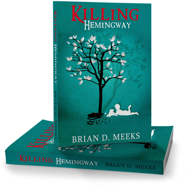 I will make a high quality ebook cover professionally...