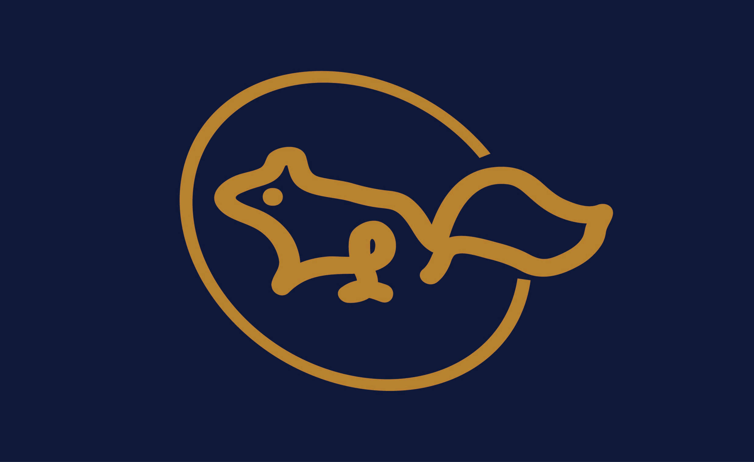 I will design professional and creative business logo