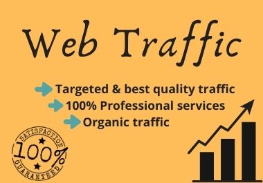 I will drive Keyword Targeted Organic Google Web Traffic to your website.