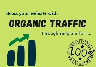 I will drive Keyword Targeted Organic Google Web Traf...