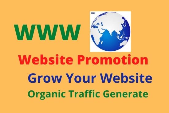 I will do organic Website Promotion
