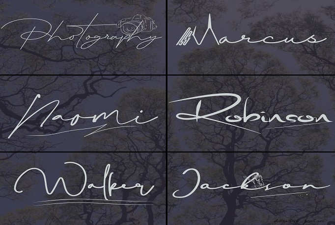 I will do standard and unique signature logo design 