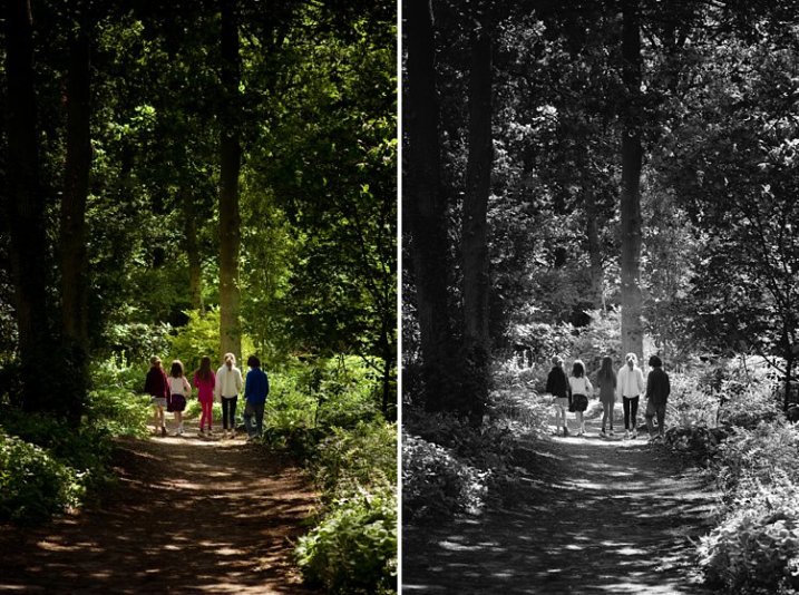 I will do photo restoration and colorize black and white photo