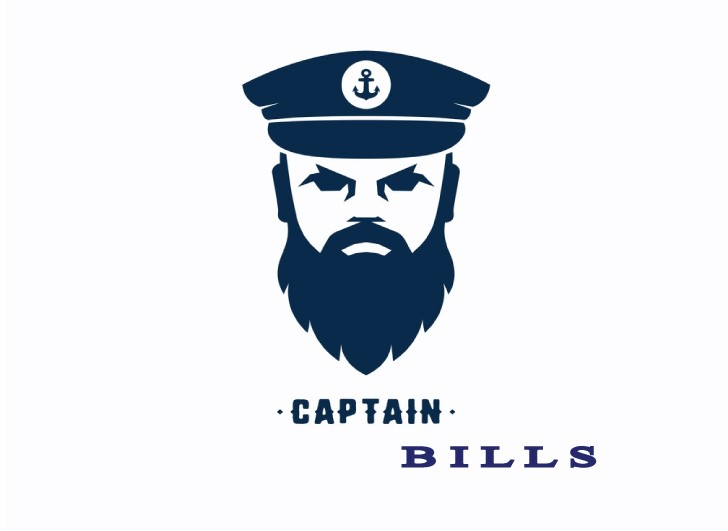 I will create a flat logo in 48 hours