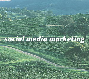 Social media marketing strategy and grow your busines...
