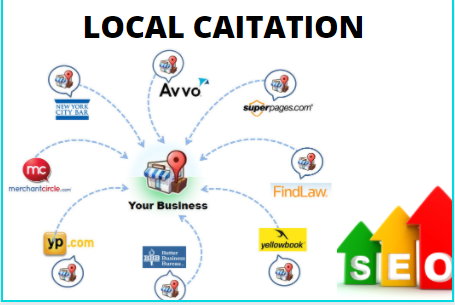 I will do 100 live local seo citations for local busi...