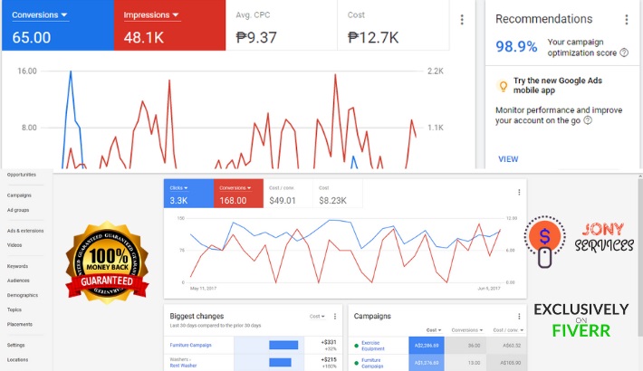 I will setup, manage and optimize your google ads, adwords campaigns