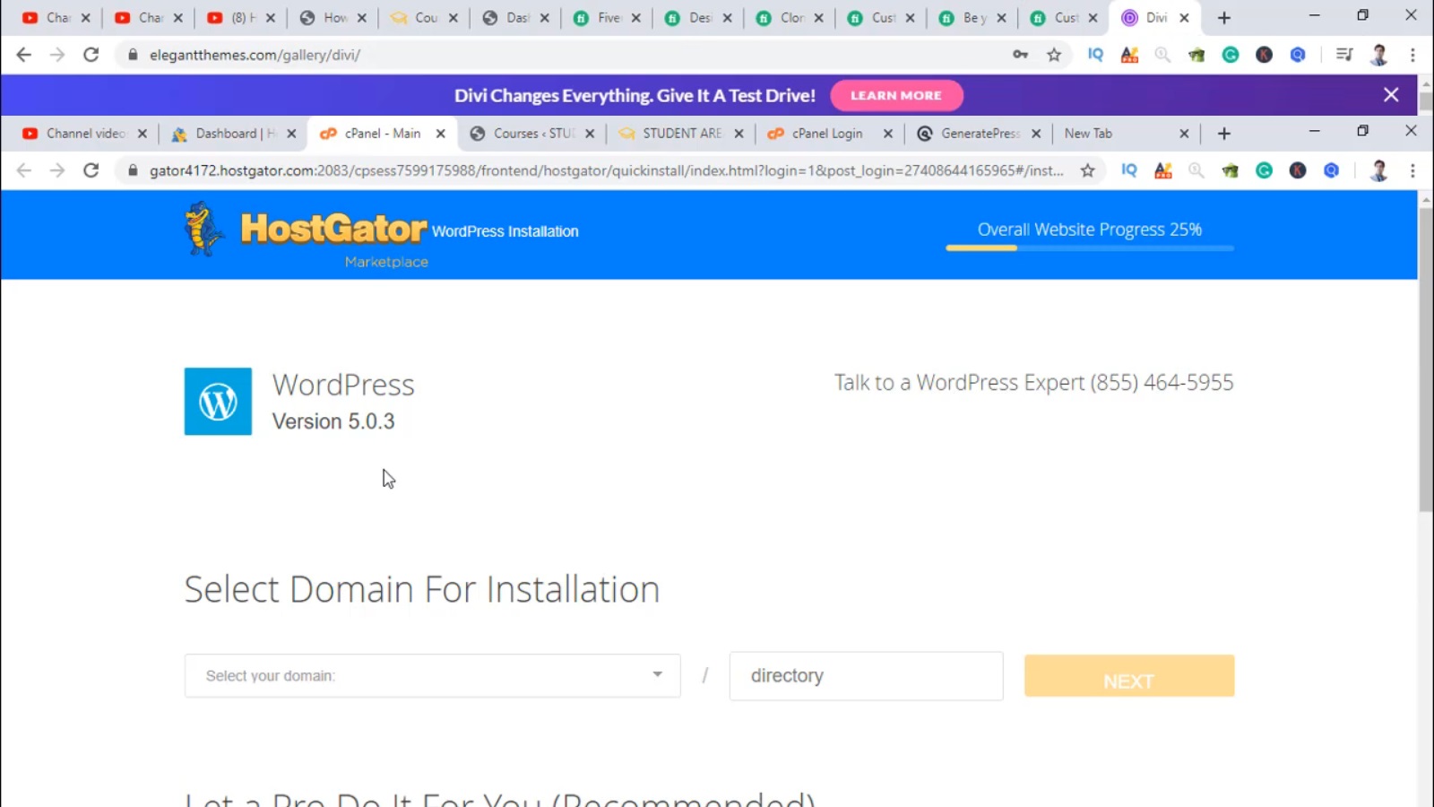 I will do WordPress Website Designing
