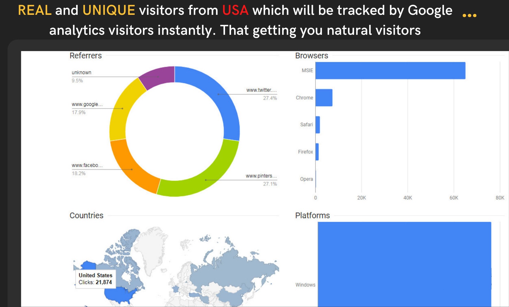 I will drive 2000 organic USA targeted traffic to your web or blog site