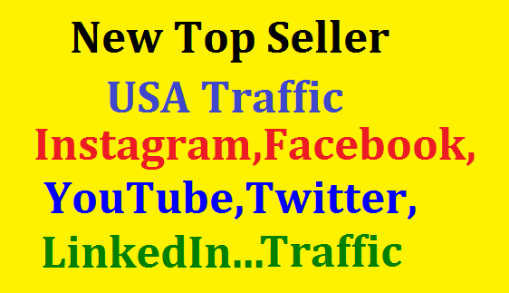 Bumper Offer 400,000 Worldwide Website USA Real Traff...